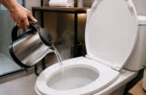 Tại sao khi nhận phòng khách sạn nên đun một ấm nước sôi đổ vào bồn cầu? Lý do bất ngờ