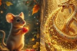 Thứ Sáu, Thứ Bảy: 3 con giáp hoàn tất tốt công việc, mở ra cơ hội thăng tiến và tăng lương