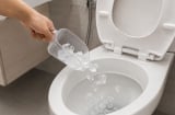 Vì sao nhiều nhân viên nhà hàng, khách sạn lại đổ đá lạnh vào bồn cầu?