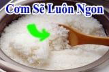 Tại sao bạn nên thả vài hạt muối vào nồi cơm?