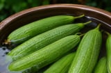 Vì sao nên thả quả mướp vào chậu nước bảo quản thay vì cho vào tủ lạnh?