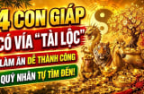 4 con giáp Ăn Lộc Rơi Lộc Vãi, chốt lãi đậm tháng 7/2026