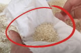 Tại sao người sành sỏi thường cầm theo một tờ giấy ăn khi đi mua gạo?