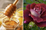 Công thức mặt nạ từ bột cánh hoa hồng giúp làn da mềm mại, rạng rỡ hơn