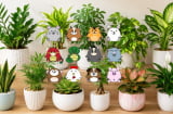 Gợi ý chọn cây cảnh phong thủy phù hợp cho từng con giáp để hút tài lộc, tạo không gian sống hài hòa