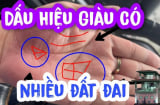 Người tài ba xuất chúng càng già càng giàu có 3 nét tướng này trên lòng bàn tay: Đó là gì?