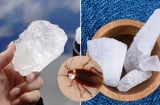 Nguyên liệu đuổi gián giá rẻ, hiệu quả cực tốt, nhiều người chưa biết