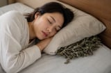 Vì sao khi đi ngủ nên đặt một nắm lá ngải cứu sấy khô dưới gối