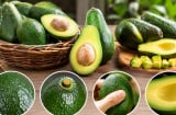 Mẹo chọn quả bơ ngon, ruột chín vàng: Nhìn 4 dấu hiệu này trước khi mua, tránh quả sượng hoặc thâm đen