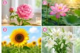 Chọn một bông hoa để xem bạn nên ưu tiên điều gì lúc này