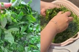 Tại sao khi nấu canh rau ngót, phải vò lá rau trước khi cho vào nồi?