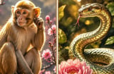 3 con giáp càng thông minh càng dễ chủ quan, nhiều cơ hội vuột mất ngay phút chót