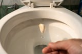 Vì sao bạn nên thả một tép tỏi vào bồn cầu trước khi đi ngủ?