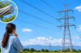 Vì sao dây điện trên cao không bọc nhựa?