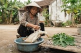 Cách vặt lông vịt siêu nhanh, sạch bóng nhờ lá đu đủ