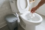 Đi vệ sinh xong, nên vứt giấy vào bồn cầu hay vứt vào thùng rác?