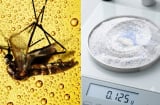 Đuổi muỗi hiệu quả chỉ với bia và bột giặt: Mẹo cực hay không cần dùng hóa chất
