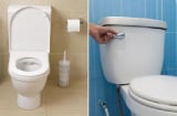Khi không sử dụng bồn cầu, nên đóng hay mở nắp?