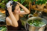 3 loại lá cây dễ tìm giúp gội đầu sạch gàu, tóc mềm mượt, kích thích tóc con mọc tua tủa