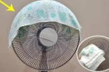 Vì sao sao nên treo 1 chiếc khăn ẩm vào quạt vào mùa hè