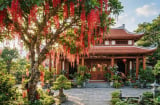 4 loại cây trồng cây càng xanh tươi người càng may mắn giàu có