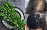 Cách tự làm dầu hương thảo kích thích mọc tóc, tóc con đua nhau mọc
