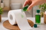 Nhỏ vài giọt dầu gió vào cuộn giấy vệ sinh, công dụng bất ngờ không phải ai cũng biết