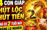 Gia Tiên Độ Lộc, 4 con giáp cứ thế nhận phúc hưởng phần