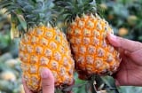 Tại sao phụ nữ nên thường xuyên ăn dứa?