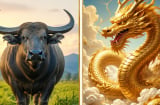 Hơn nhau ở hậu vận: 3 con giáp thời trẻ nhiều chông gai, càng về già càng giàu phúc lộc