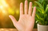 4 dấu hiệu trên bàn tay được cho là có lộc, xem thử bạn có bao nhiêu?