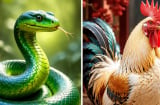 Thứ Năm, Thứ Sáu (9-10/7): 2 con giáp bất ngờ bật lên nhờ sáng kiến hay, 1 tuổi đón cơ hội kiếm bộn tiền