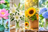 Chọn 1 bông hoa bạn thích nhất để khám phá điểm yếu lớn nhất mà bạn chưa dám đối diện