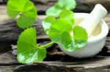 Rau má mang lại lợi ích gì cho làn da?