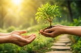 Người càng biết cho đi 5 điều này, về sau càng dễ thành công: Cho đi là được chứ không phải mất
