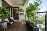 5 loại cây nên đặt ở ban công hướng Tây để vừa mát nhà vừa hợp phong thủy