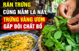 Rán trứng cùng nắm lá này, trứng vàng ươm gấp đôi chất bổ
