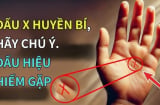 3 dấu hiệu trên lòng bàn tay của người tài ba, may mắn