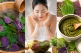 3 cách dùng lá tía tô giúp làm sáng da, hỗ trợ giảm mụn ngoài da và chăm sóc làn da tự nhiên