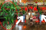 3 dấu hiệu may mắn trên bàn thờ