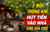 3 nơi trồng khế hút Tiền vào nhà cho gia chủ