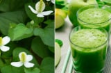 Rau diếp cá trở thành 'ngôi sao' trong mỹ phẩm