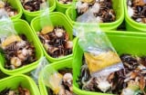 Cách cấp đông cua để nấu canh suốt mùa hè, lúc nào cũng tươi ngon