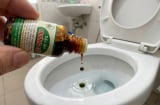 Nhỏ dầu gió vào bồn cầu: Mẹo vặt 'thần thánh' giải quyết ngay nỗi kinh hoàng trong nhà vệ sinh