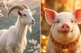 3 con giáp được hôn nhân nâng đỡ: Càng yên ấm càng thăng tiến, tình duyên trở thành bệ phóng sự nghiệp