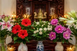 Những loại hoa đẹp nhưng người xưa rất kiêng đặt lên ban thờ thắp hương: Không phải ai cũng biết