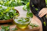 Gội đầu bằng nước lá húng quế: 3 công dụng bất ngờ cho mái tóc, nhiều người biết quá muộn