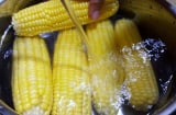 Ăn ngô luộc buổi sáng có tốt không?