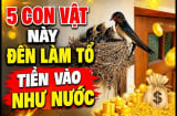 5 con vật vào nhà Thần Tài Mang Lộc Tới: Đừng dại đuổi đi kẻo mất lộc