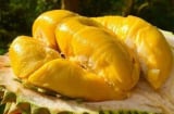 5 người không nên ăn sầu riêng, càng ăn càng gây hại